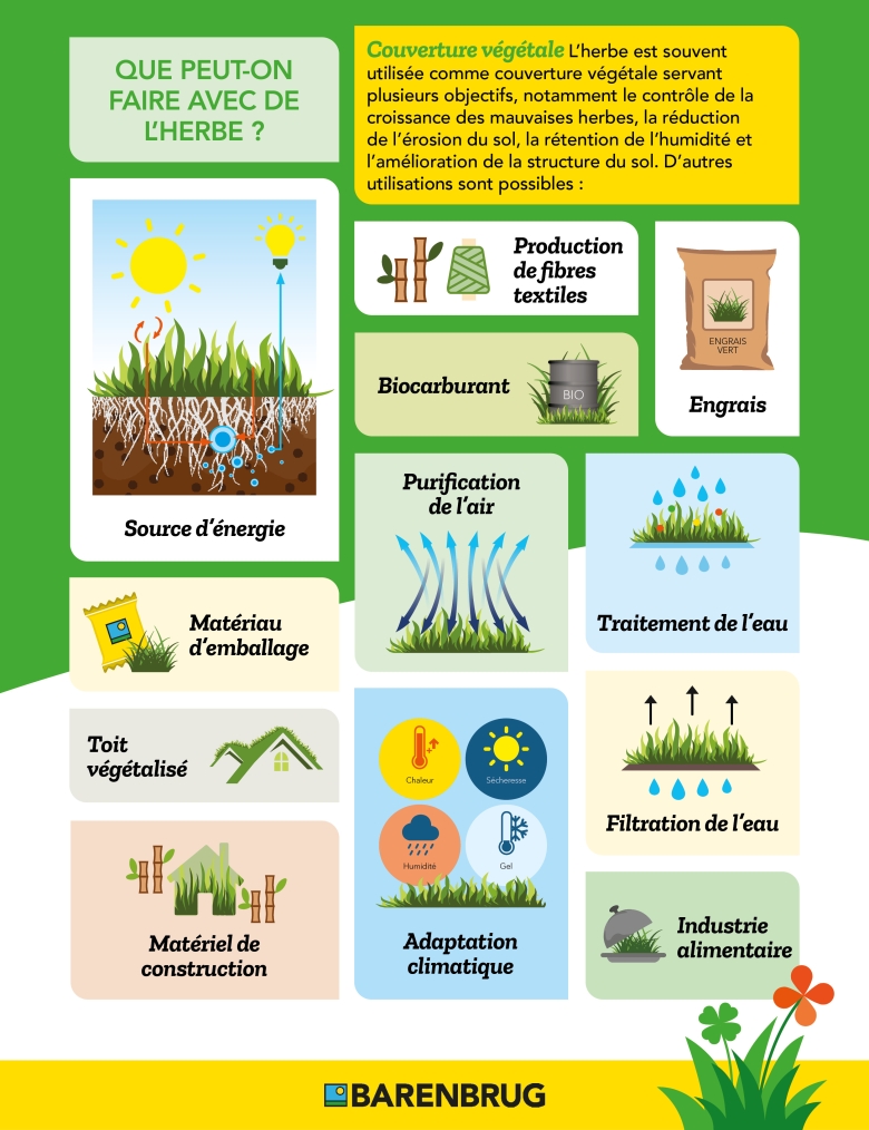 Infographie que faire avec l'herbe dans Innovations