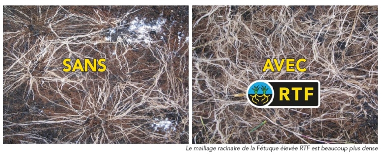 photo avec et sans RTF