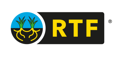Fétuque élevée à rhizomes
